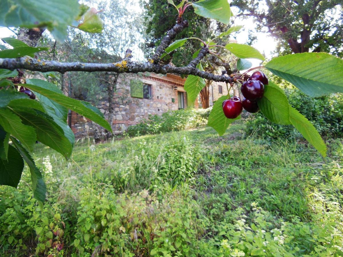 La Fontaiola Villa Le Piazze Екстериор снимка