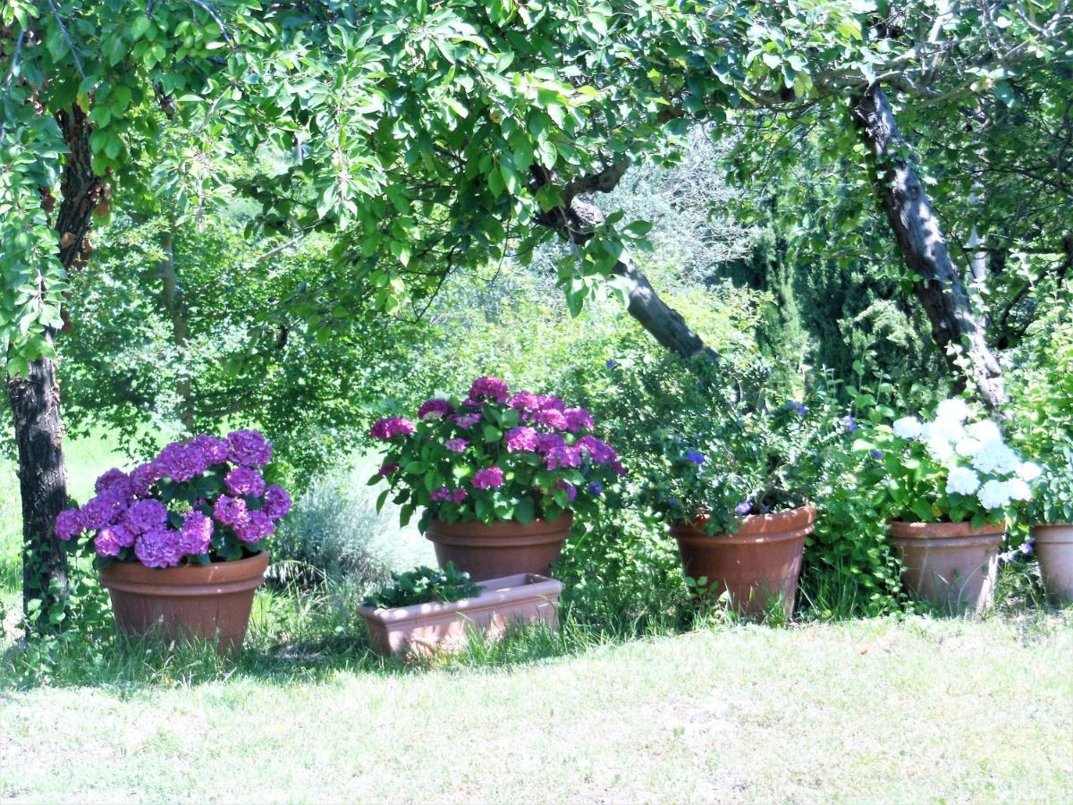 La Fontaiola Villa Le Piazze Екстериор снимка
