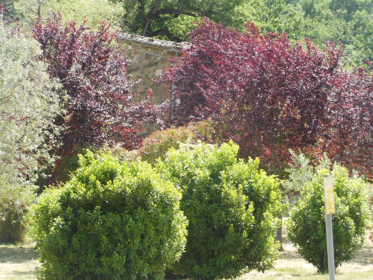 La Fontaiola Villa Le Piazze Екстериор снимка