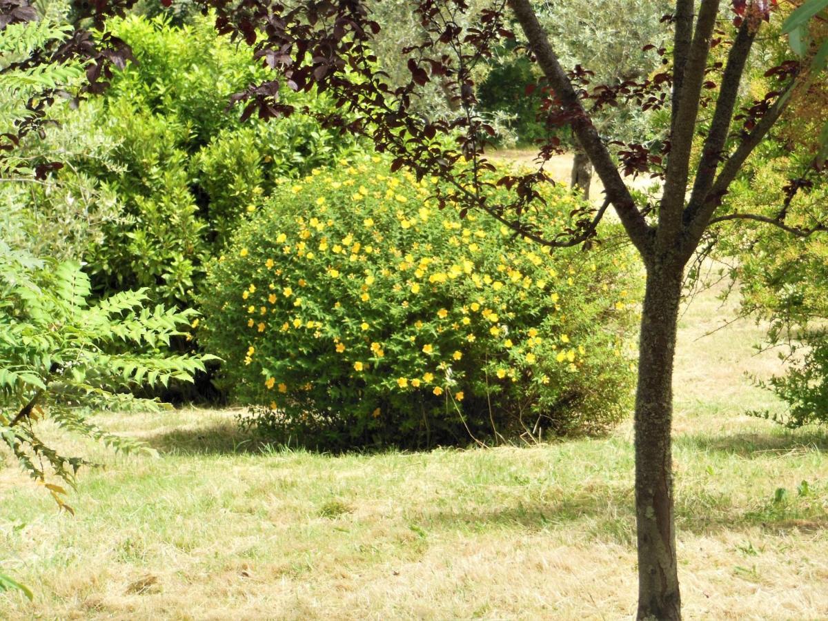 La Fontaiola Villa Le Piazze Екстериор снимка